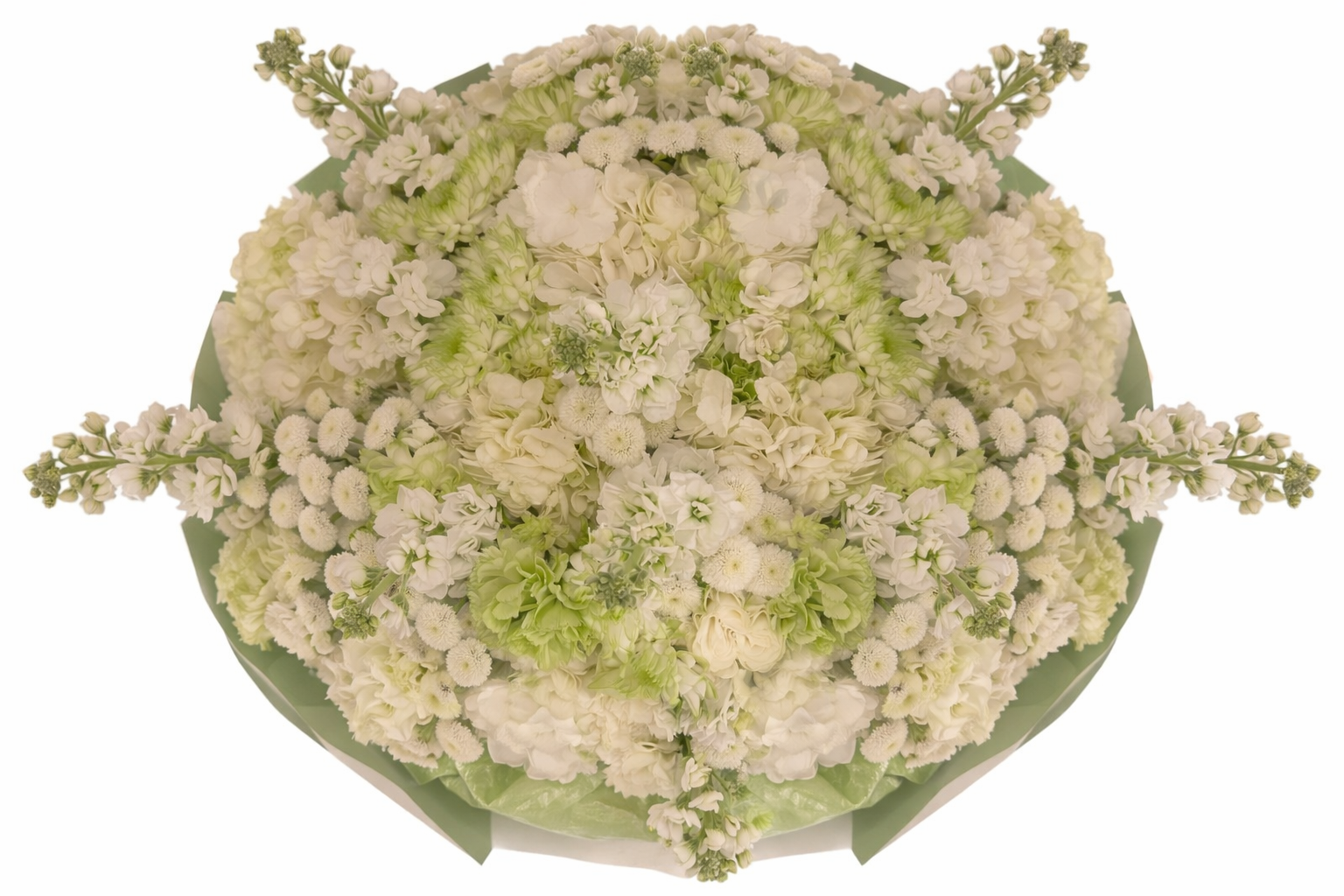 Fresh Serenity - Image 2