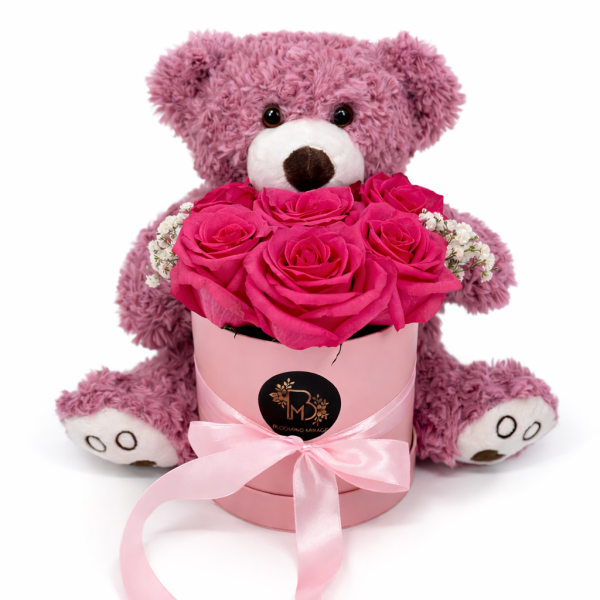 Little Bear of Love