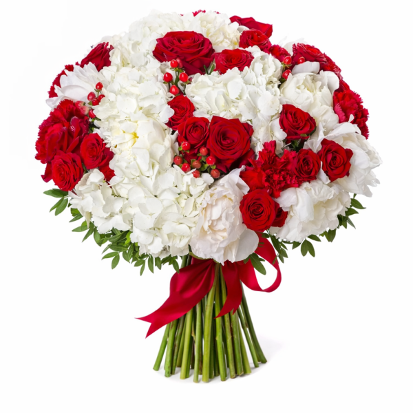 Snow Kissed Roses
