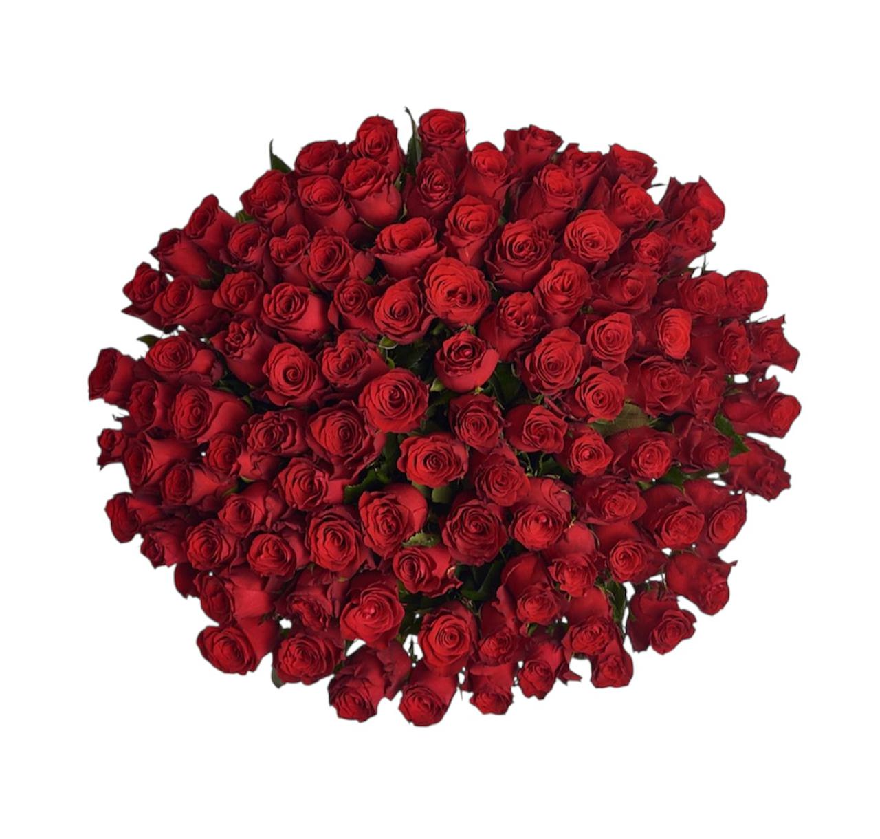 101 Red Roses - Image 2