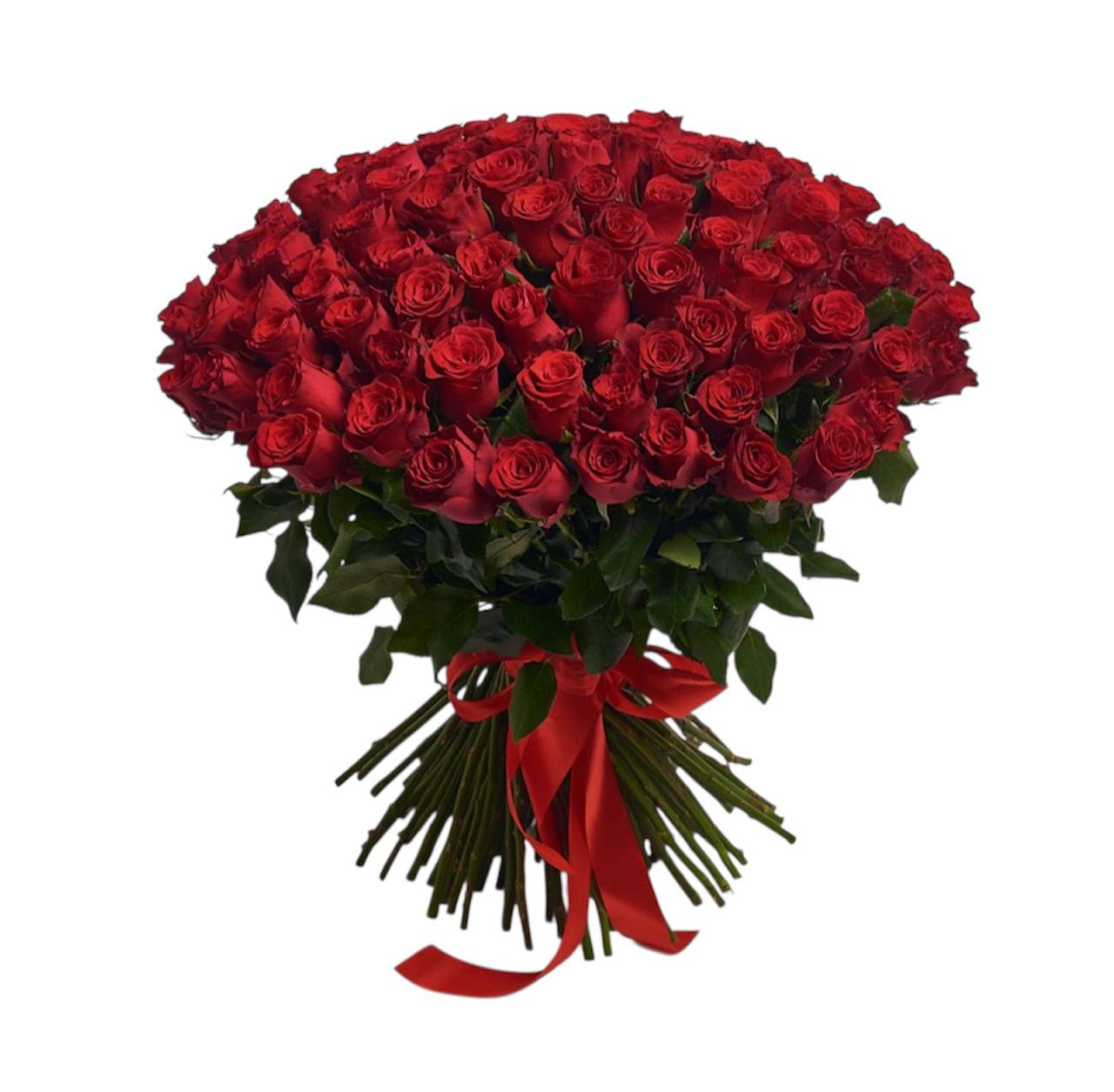 101 Red Roses