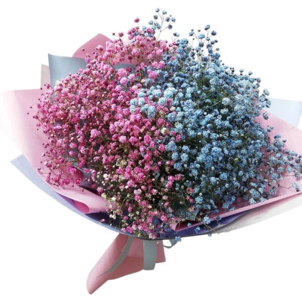 Pink & Blue Blessing
