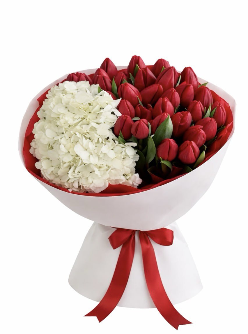 Red & White Elegance
