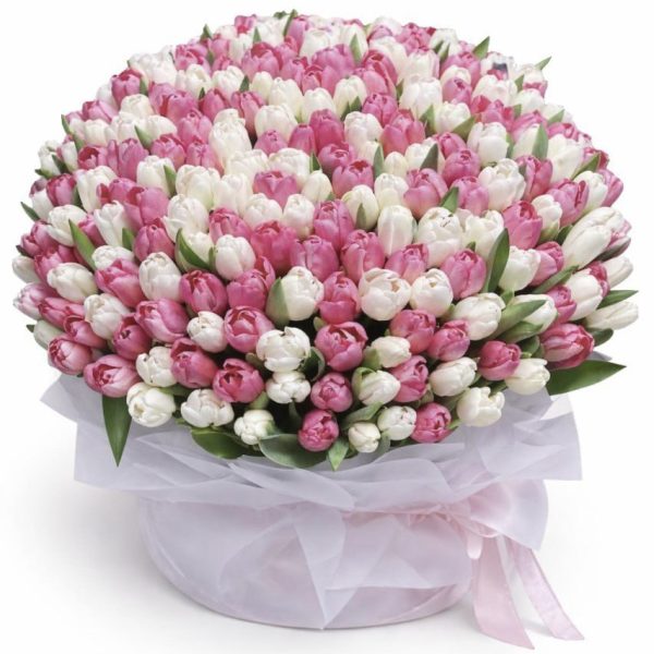 Luxury bouquets