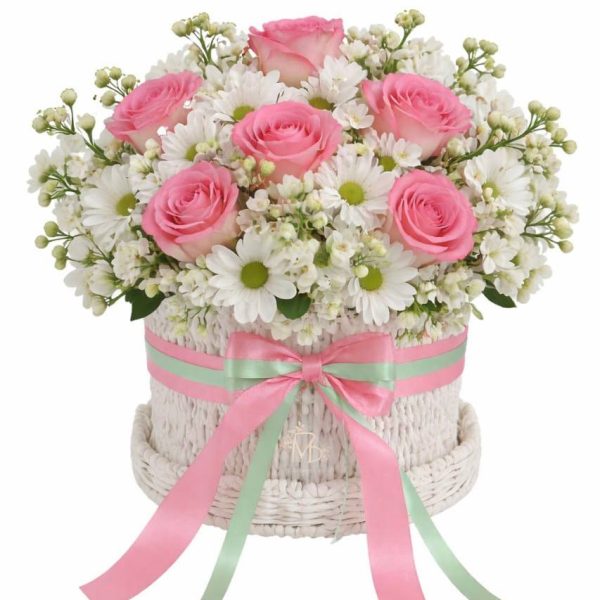 Pastel Symphony