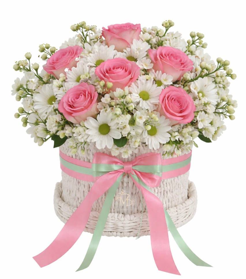 Pastel Symphony
