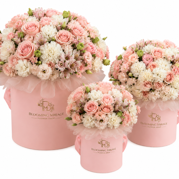 Pastel Dream Box