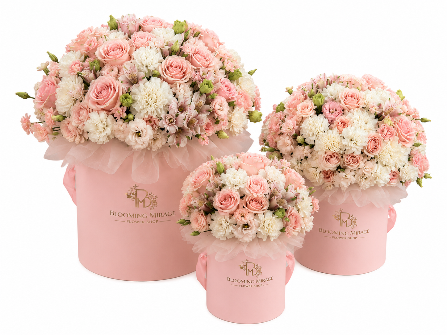 Pastel Dream Box