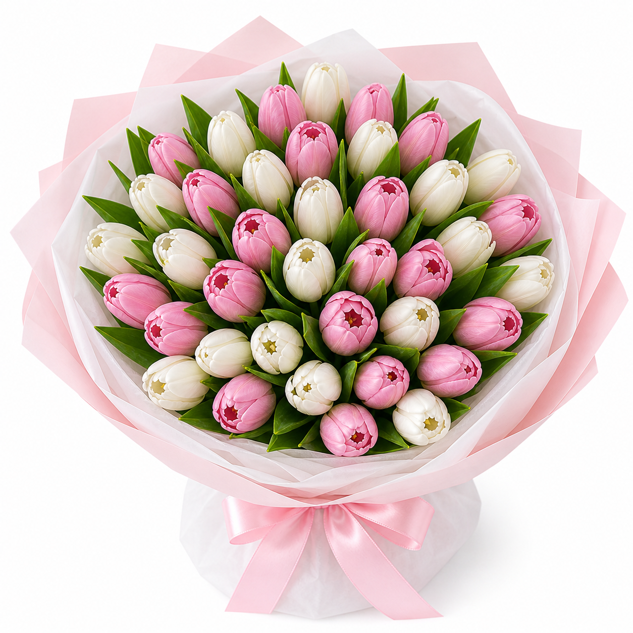 Sweet Blush Tulips