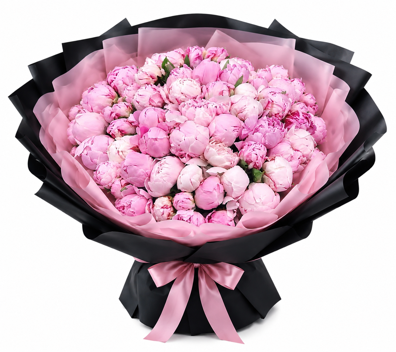 50 PINK PEONIES