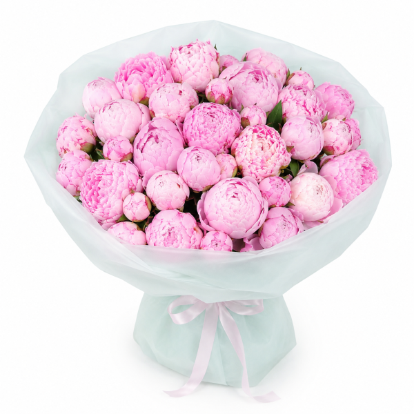 Rosy Morning Peonies
