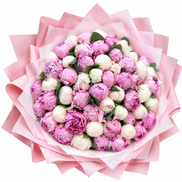 50 Pink and White Peonies Bouquet