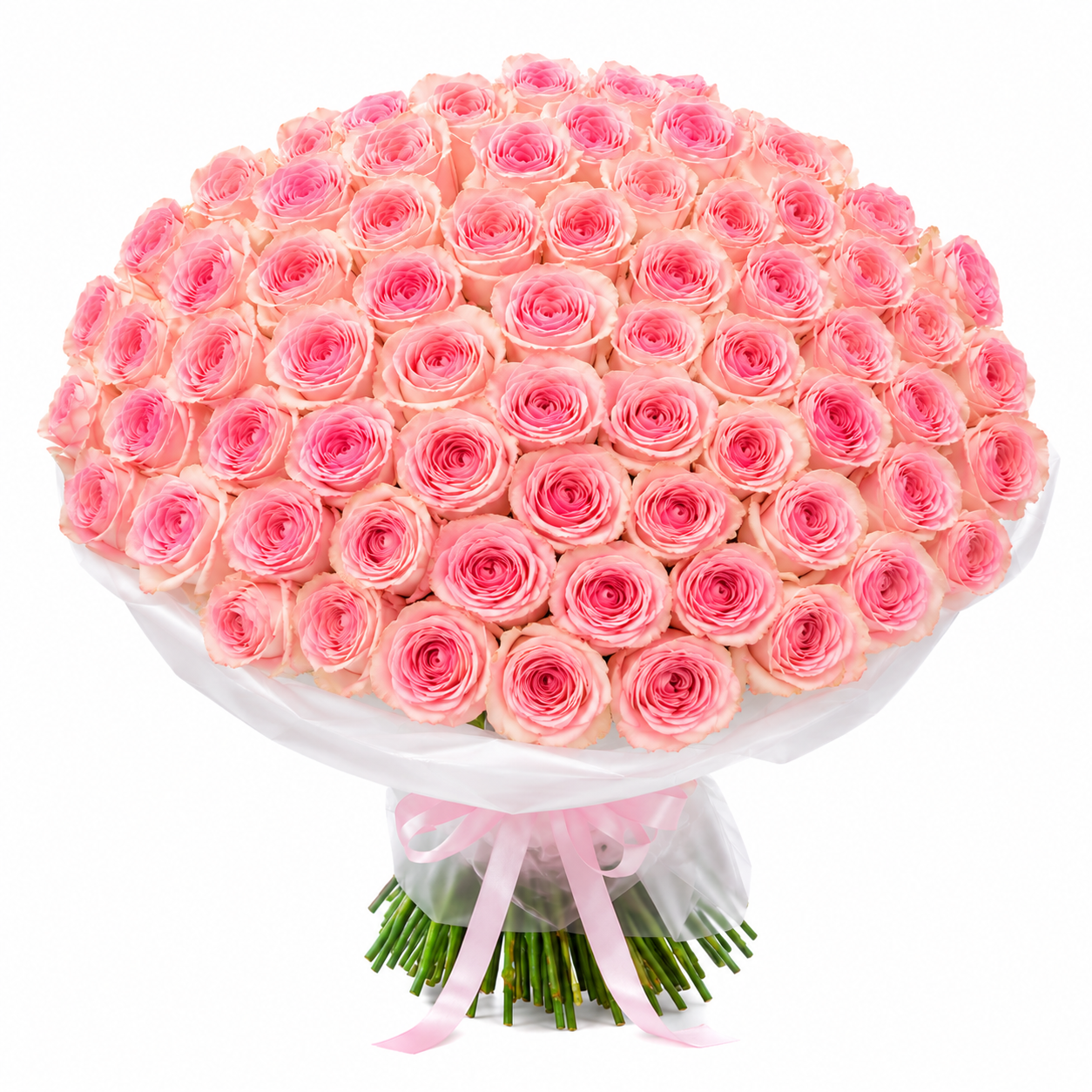 Pink Champagne
