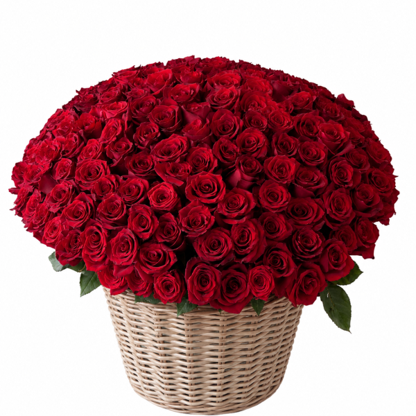150 Red Roses Basket