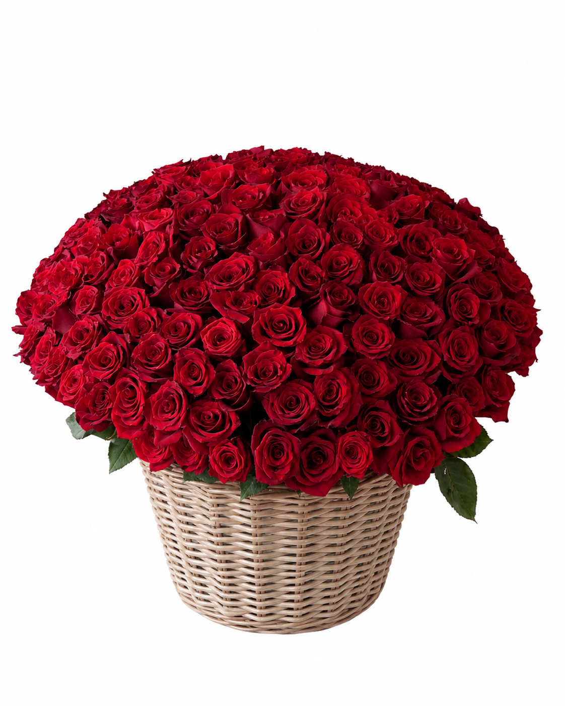 150 Red Roses Basket