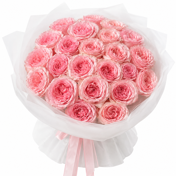 Pink O'Hara Mono