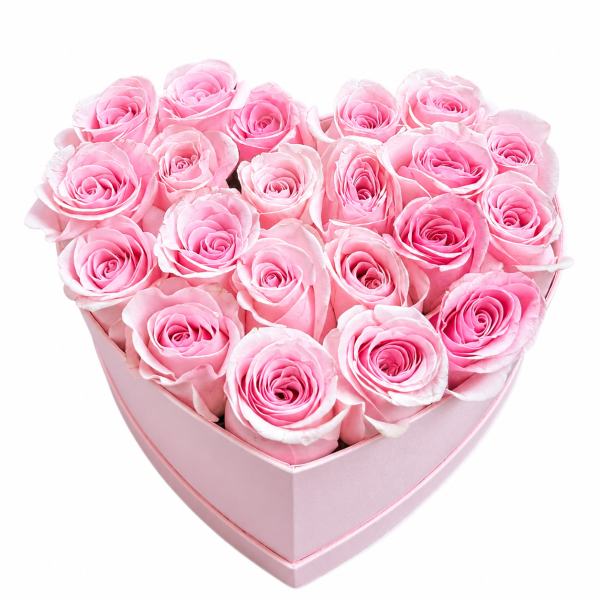 Tender Heart