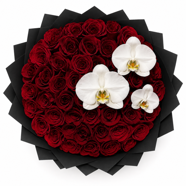 Crimson Orchid